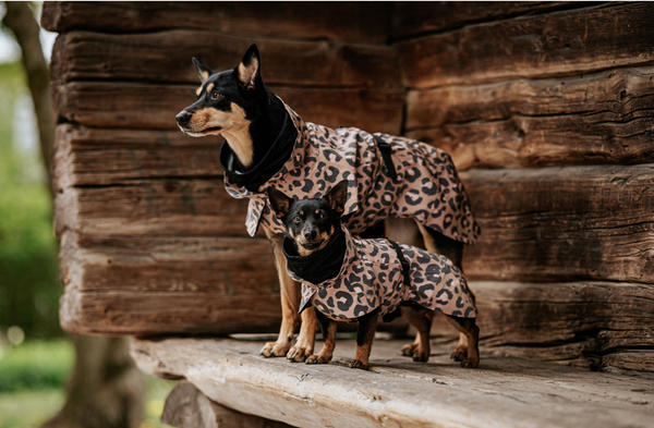 Hochreflektierender Hunderegenmantel Visibility / Leopard