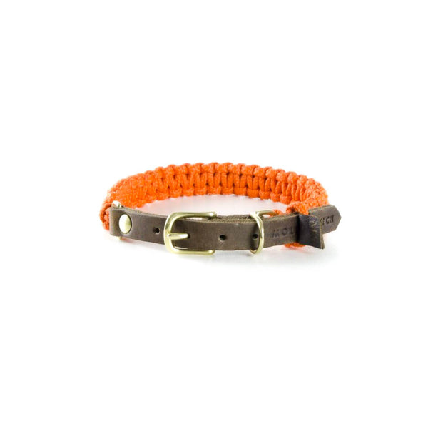 Touch of leather Hundehalsband - Pumpkin