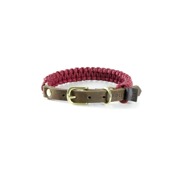 Touch of leather Hundehalsband - Redwine